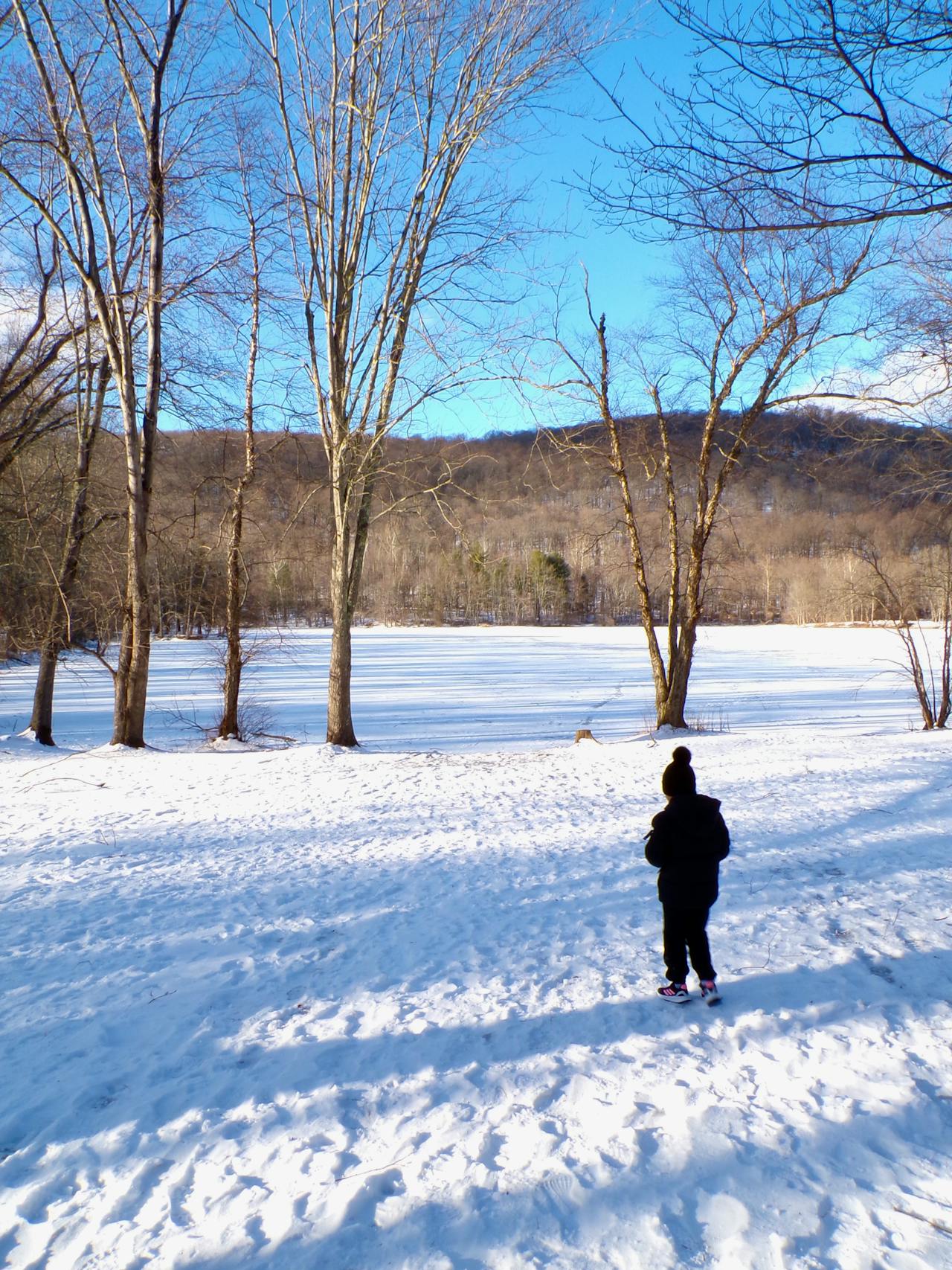 Four Beautiful Seasons